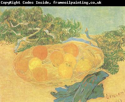 Vincent Van Gogh Still life:Oranges,Lomons and Blue Gloves (nn04)